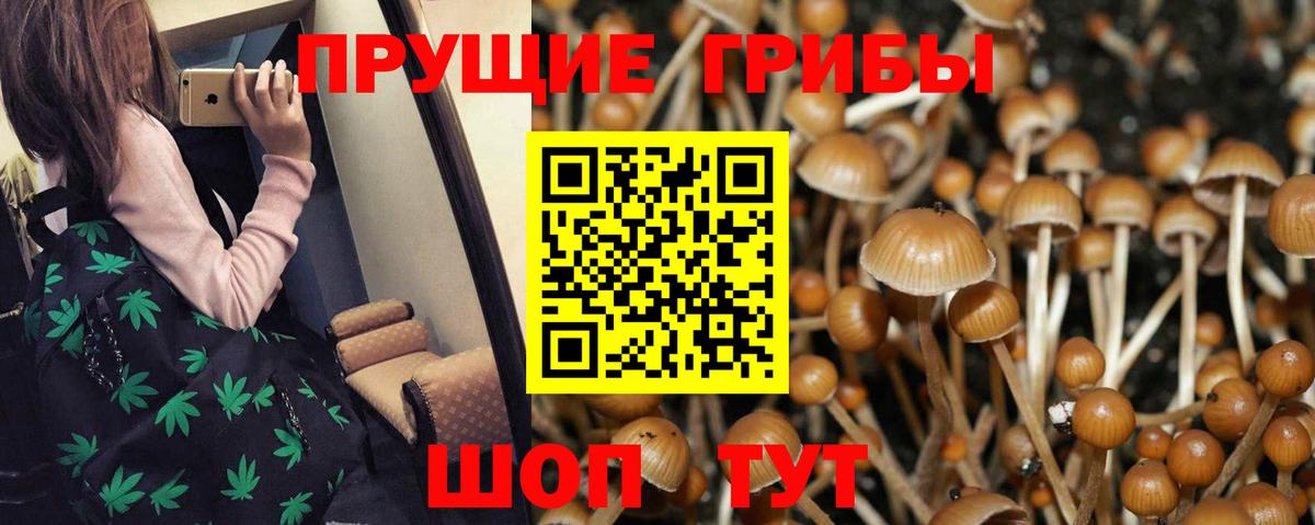 Псилоцибиновые грибы Psilocybe  Вход с VPN  Гусь-Хрустальный 